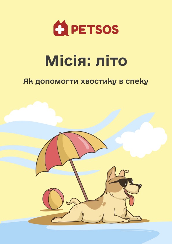 Гайд Місія: літо